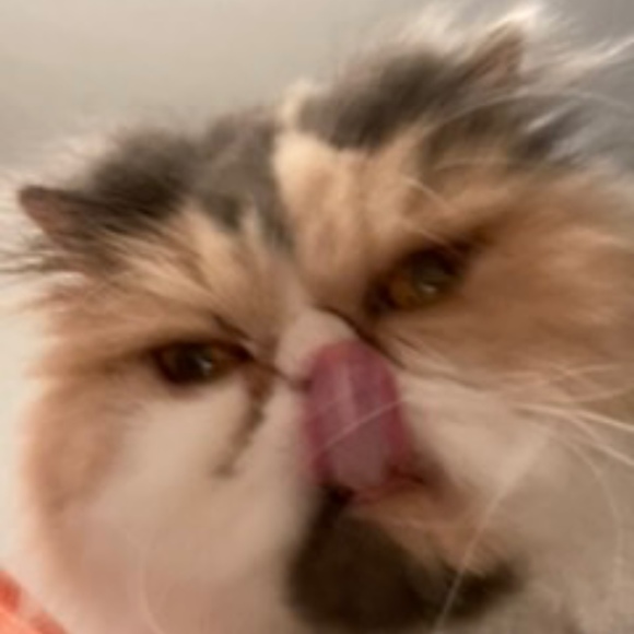 kimferrell64